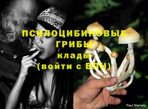 ECSTASY Кулебаки