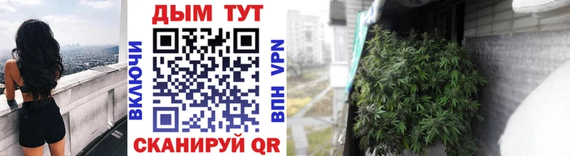 даркнет сайт Дегтярск Шишки марихуана White Widow